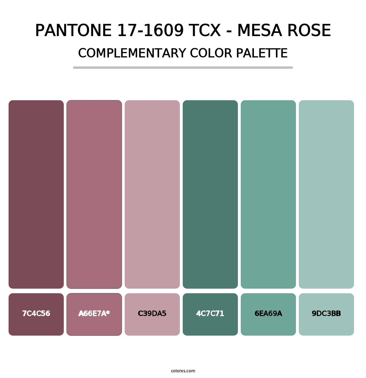 PANTONE 17-1609 TCX - Mesa Rose - Complementary Color Palette