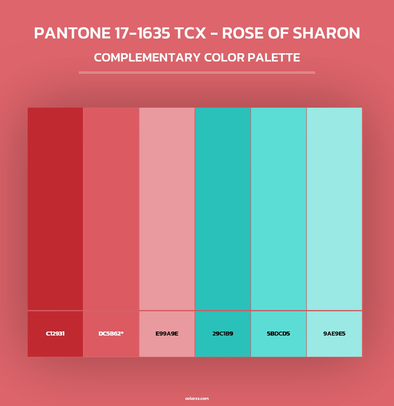 PANTONE 17-1635 TCX - Rose of Sharon - Complementary Color Palette