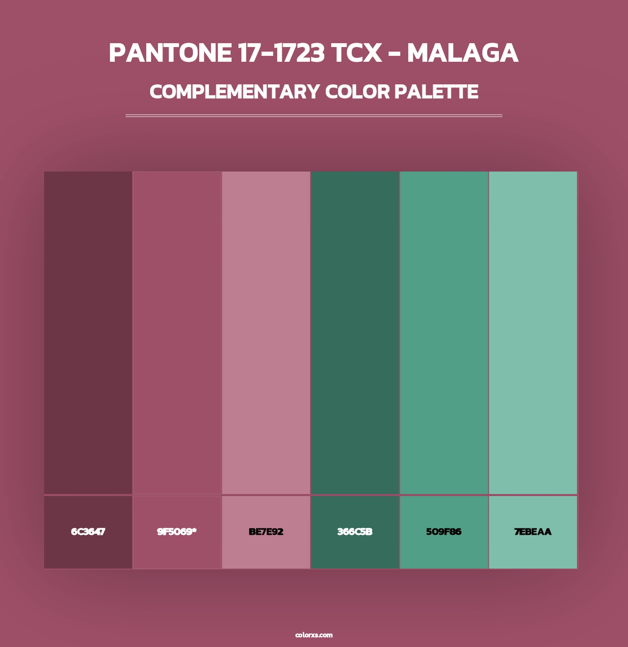 PANTONE 17-1723 TCX - Malaga - Complementary Color Palette