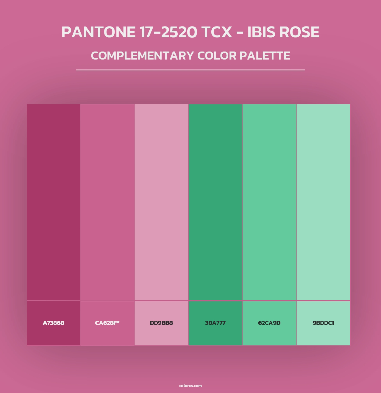 PANTONE 17-2520 TCX - Ibis Rose - Complementary Color Palette