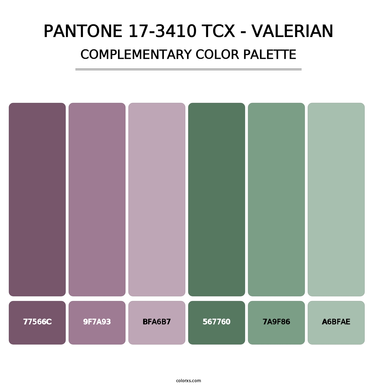 PANTONE 17-3410 TCX - Valerian - Complementary Color Palette