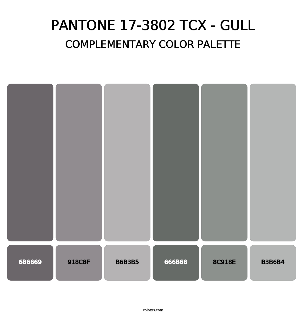 PANTONE 17-3802 TCX - Gull - Complementary Color Palette