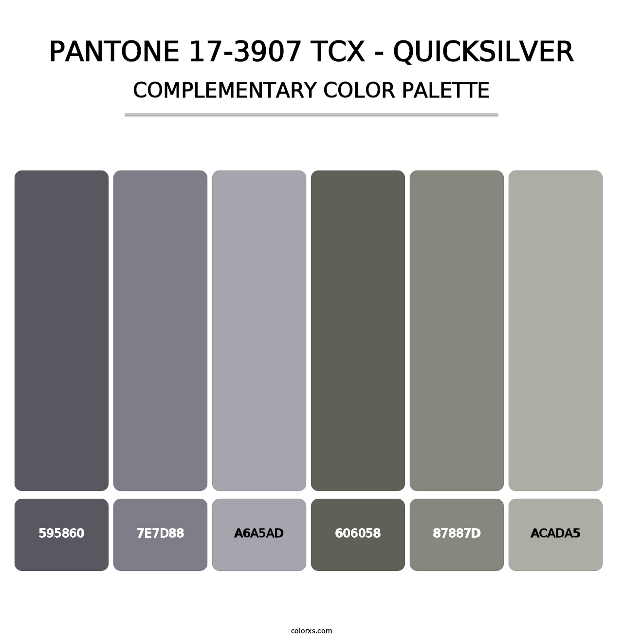 PANTONE 17-3907 TCX - Quicksilver - Complementary Color Palette