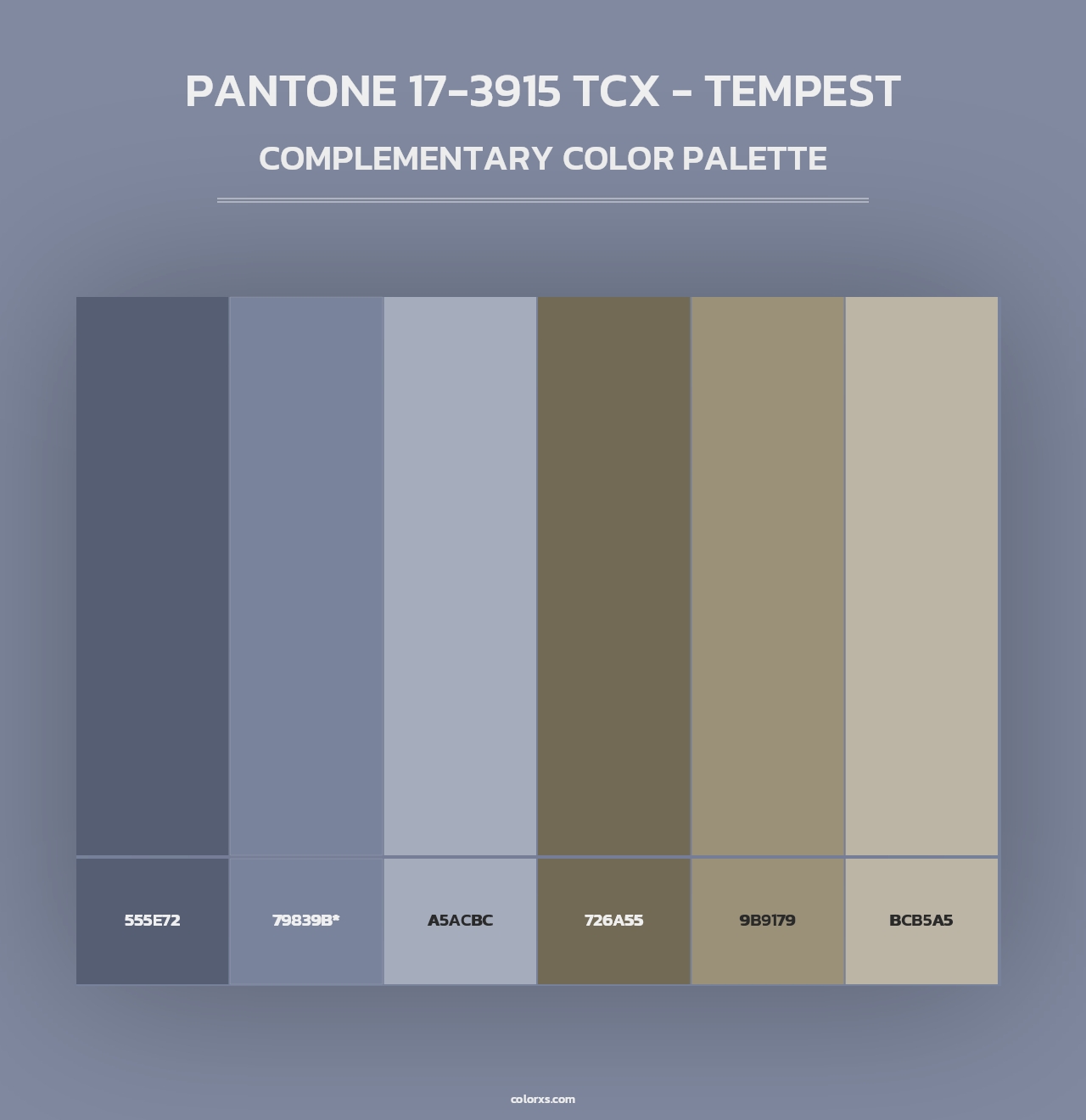 PANTONE 17-3915 TCX - Tempest - Complementary Color Palette