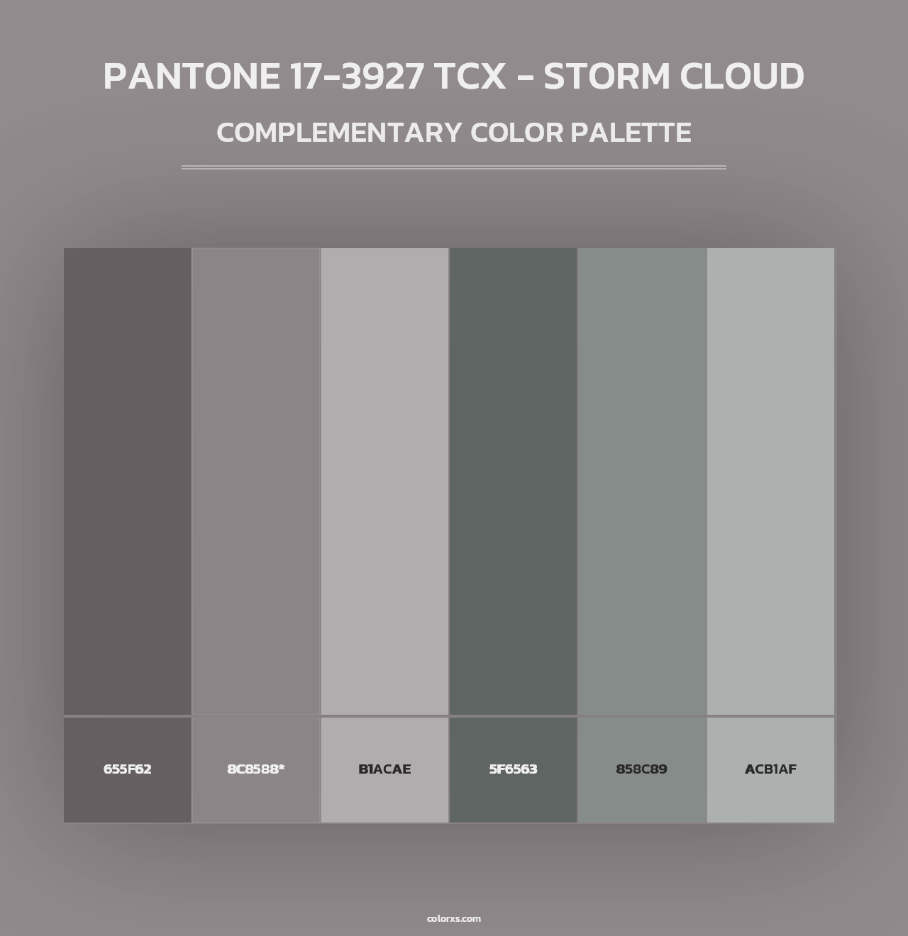 PANTONE 17-3927 TCX - Storm Cloud - Complementary Color Palette
