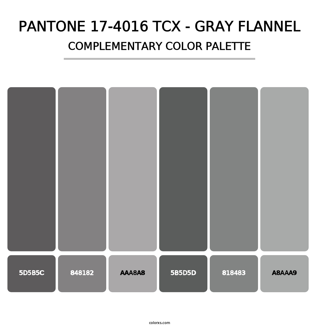 PANTONE 17-4016 TCX - Gray Flannel - Complementary Color Palette