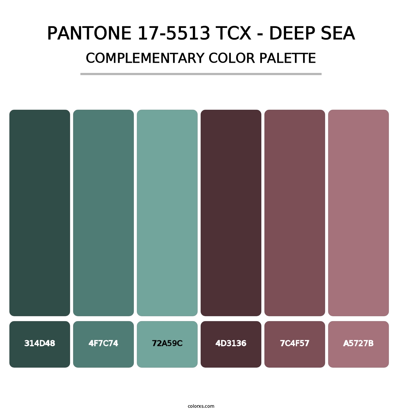 PANTONE 17-5513 TCX - Deep Sea - Complementary Color Palette