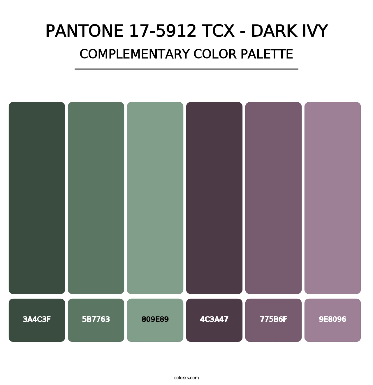 PANTONE 17-5912 TCX - Dark Ivy - Complementary Color Palette