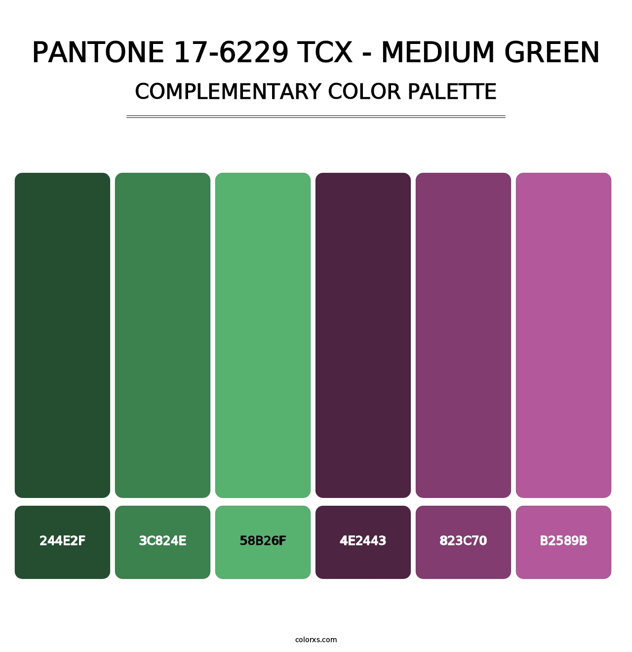 PANTONE 17-6229 TCX - Medium Green - Complementary Color Palette