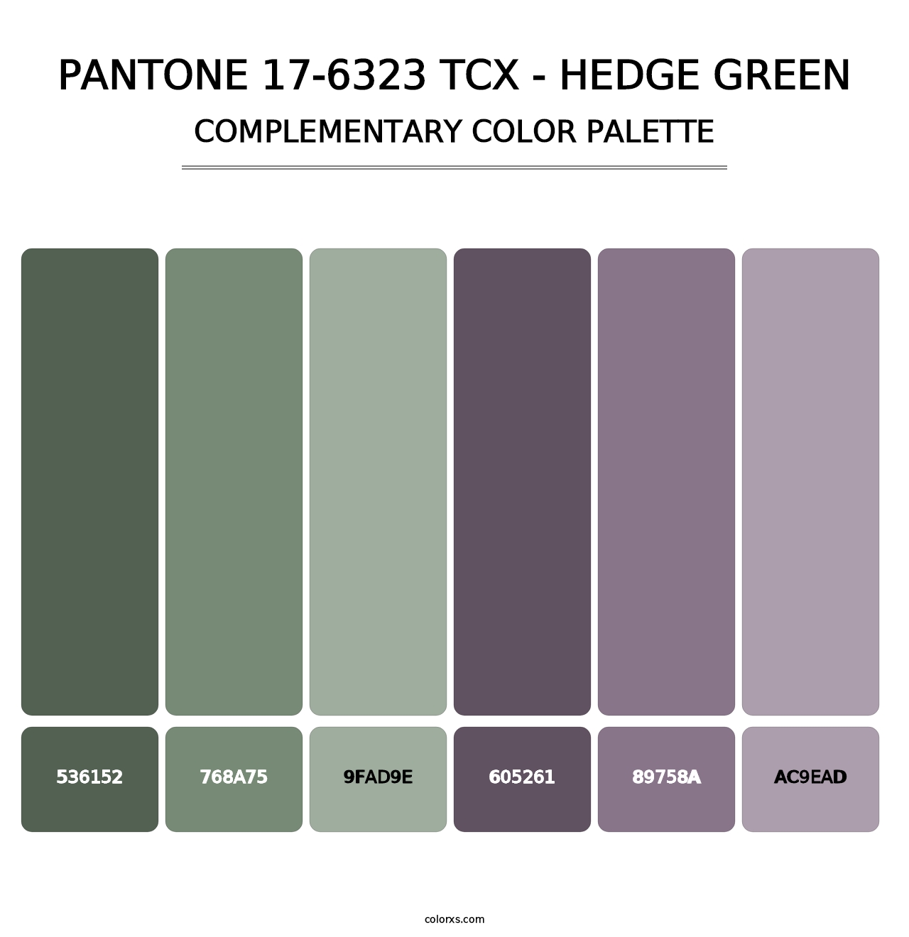 PANTONE 17-6323 TCX - Hedge Green - Complementary Color Palette