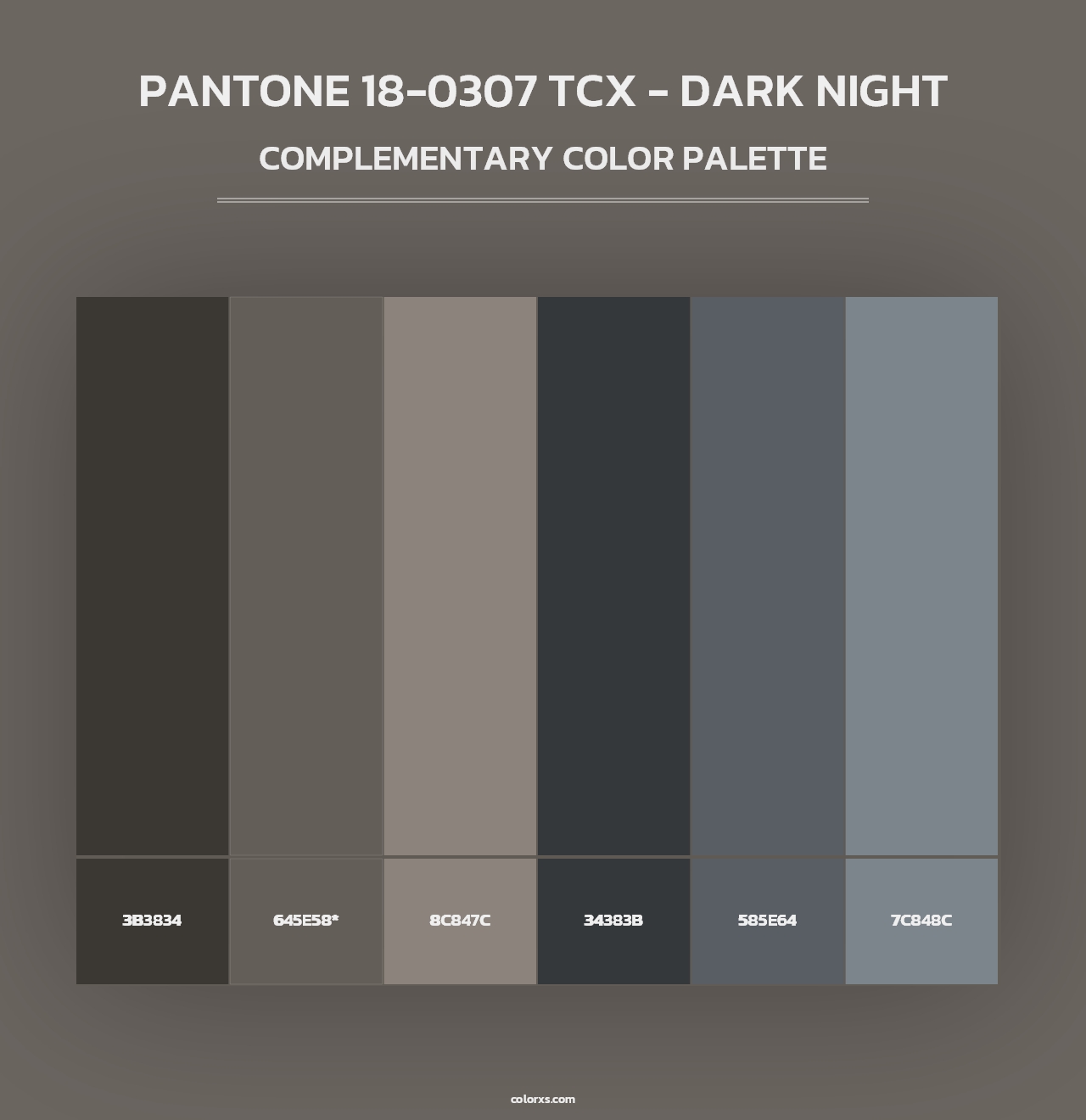 PANTONE 18-0307 TCX - Dark Night - Complementary Color Palette