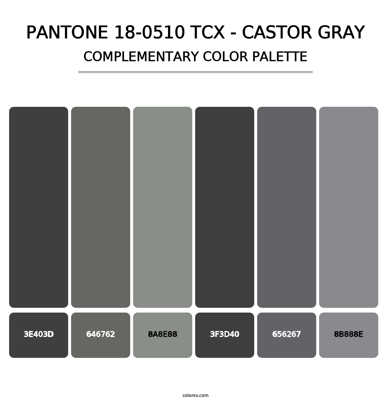 PANTONE 18-0510 TCX - Castor Gray - Complementary Color Palette
