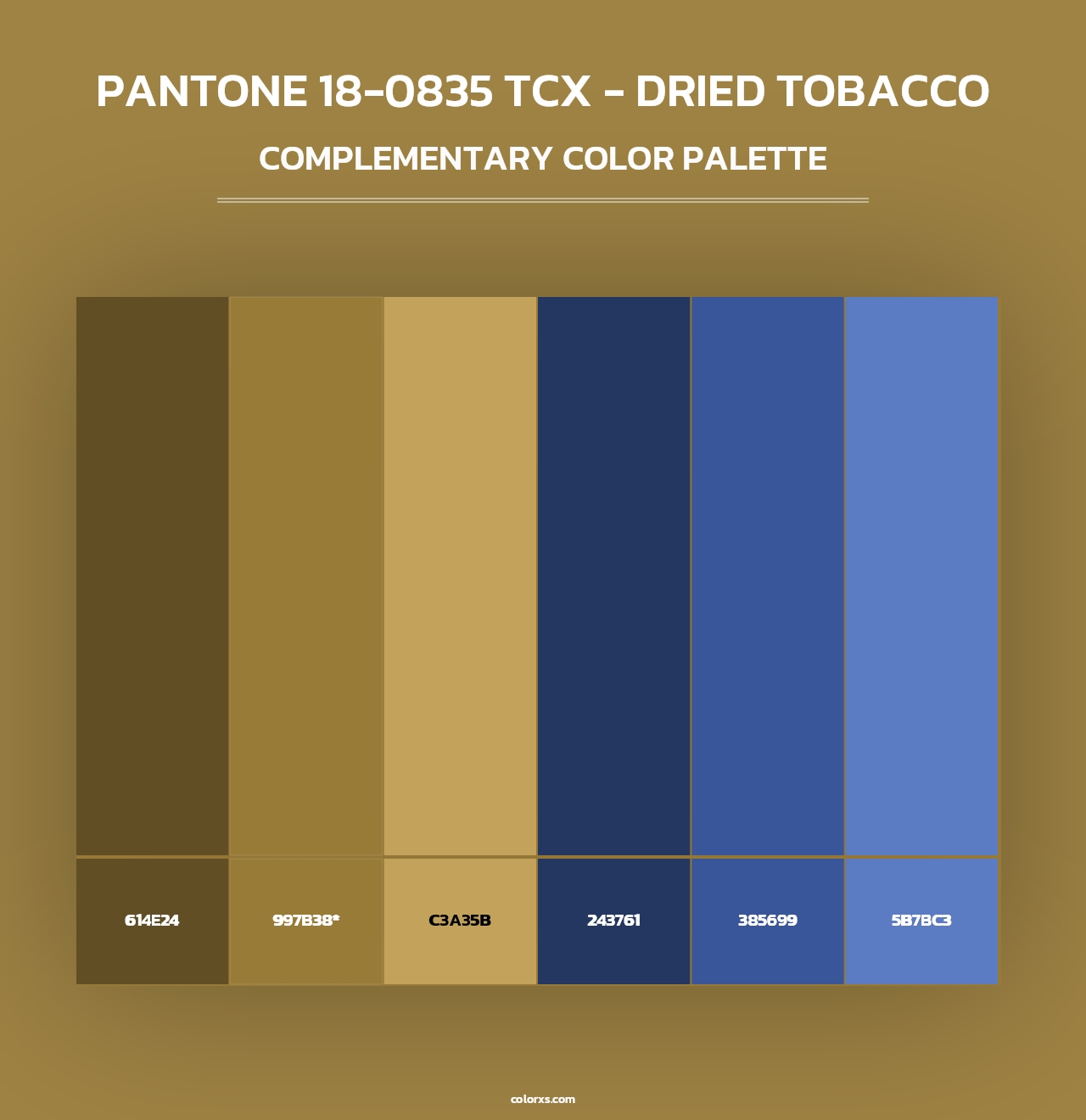 PANTONE 18-0835 TCX - Dried Tobacco - Complementary Color Palette