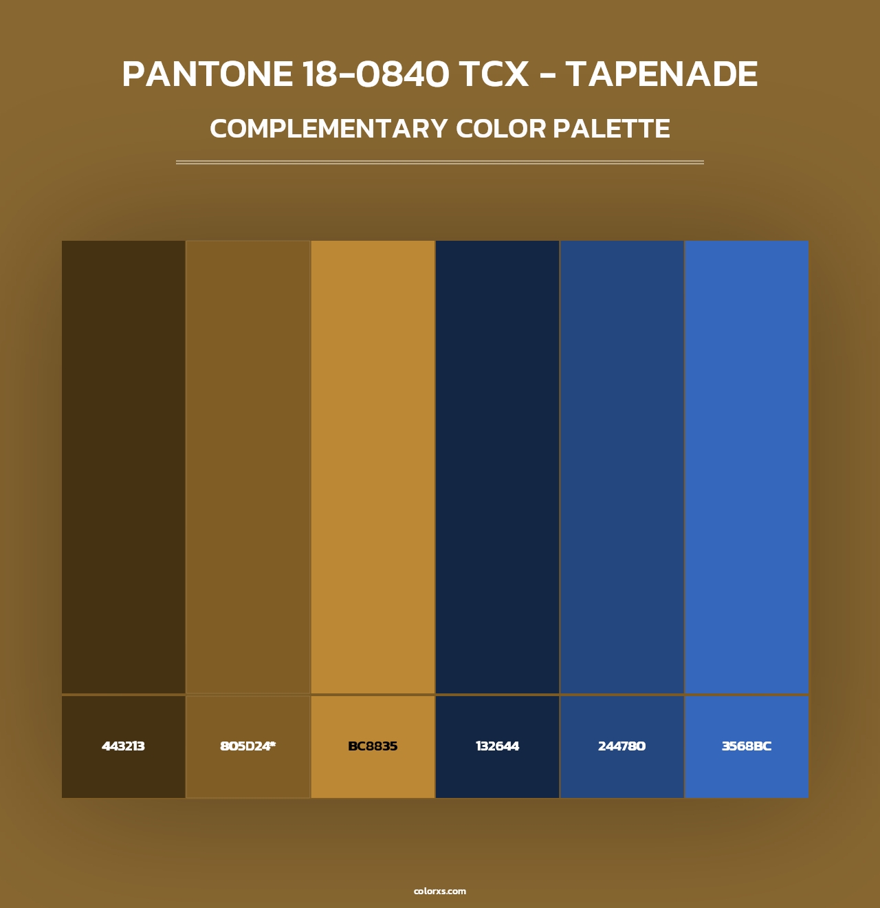 PANTONE 18-0840 TCX - Tapenade - Complementary Color Palette