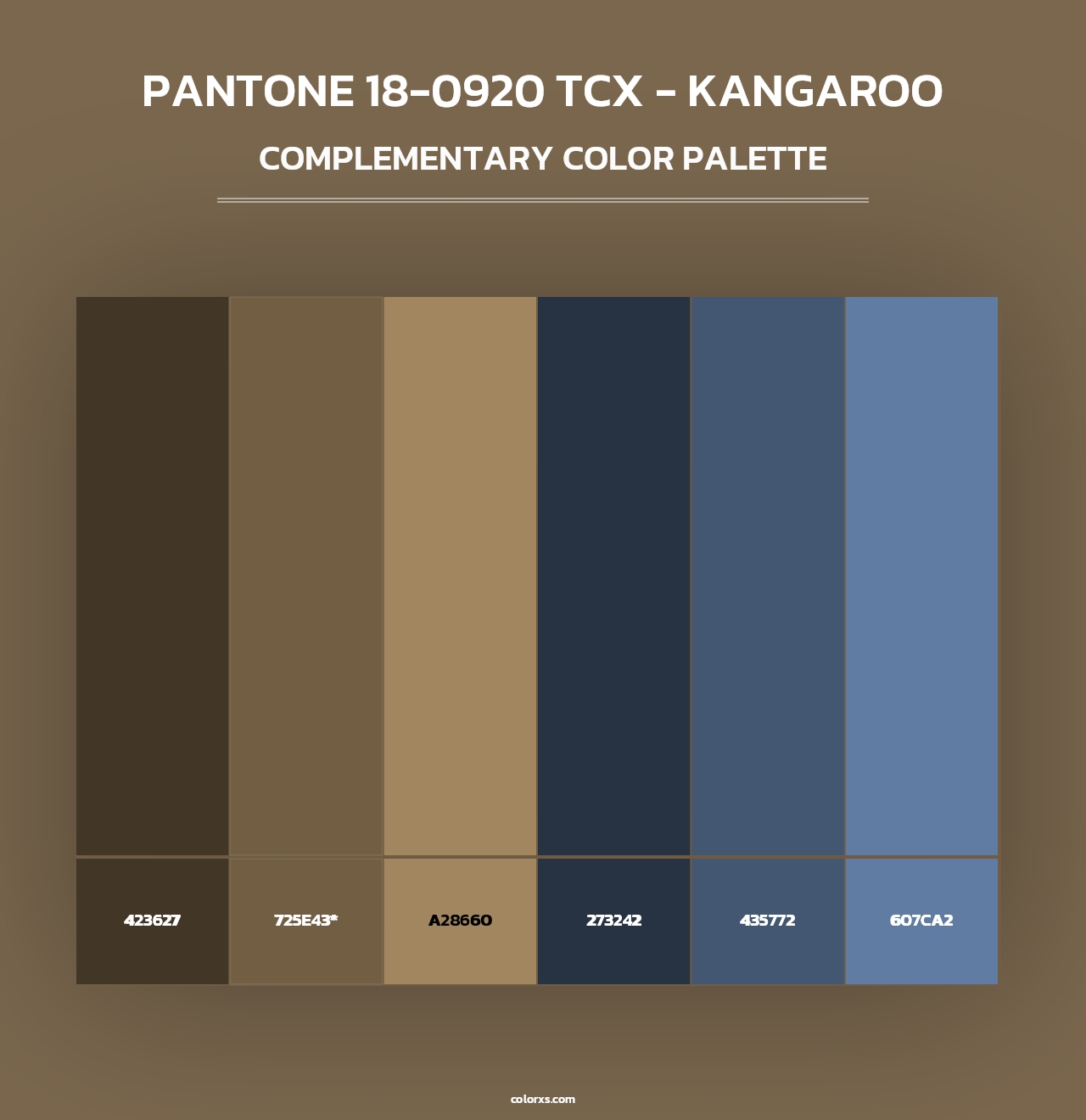 PANTONE 18-0920 TCX - Kangaroo - Complementary Color Palette