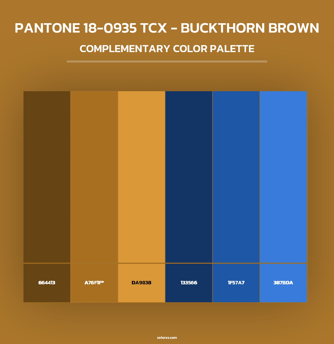 PANTONE 18-0935 TCX - Buckthorn Brown - Complementary Color Palette