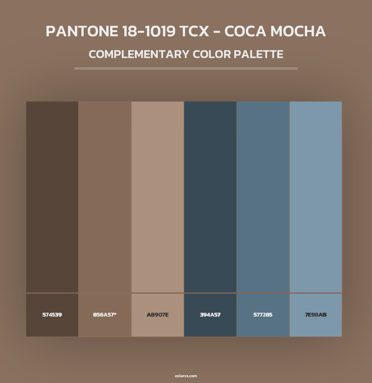 PANTONE 18-1019 TCX - Coca Mocha - Complementary Color Palette