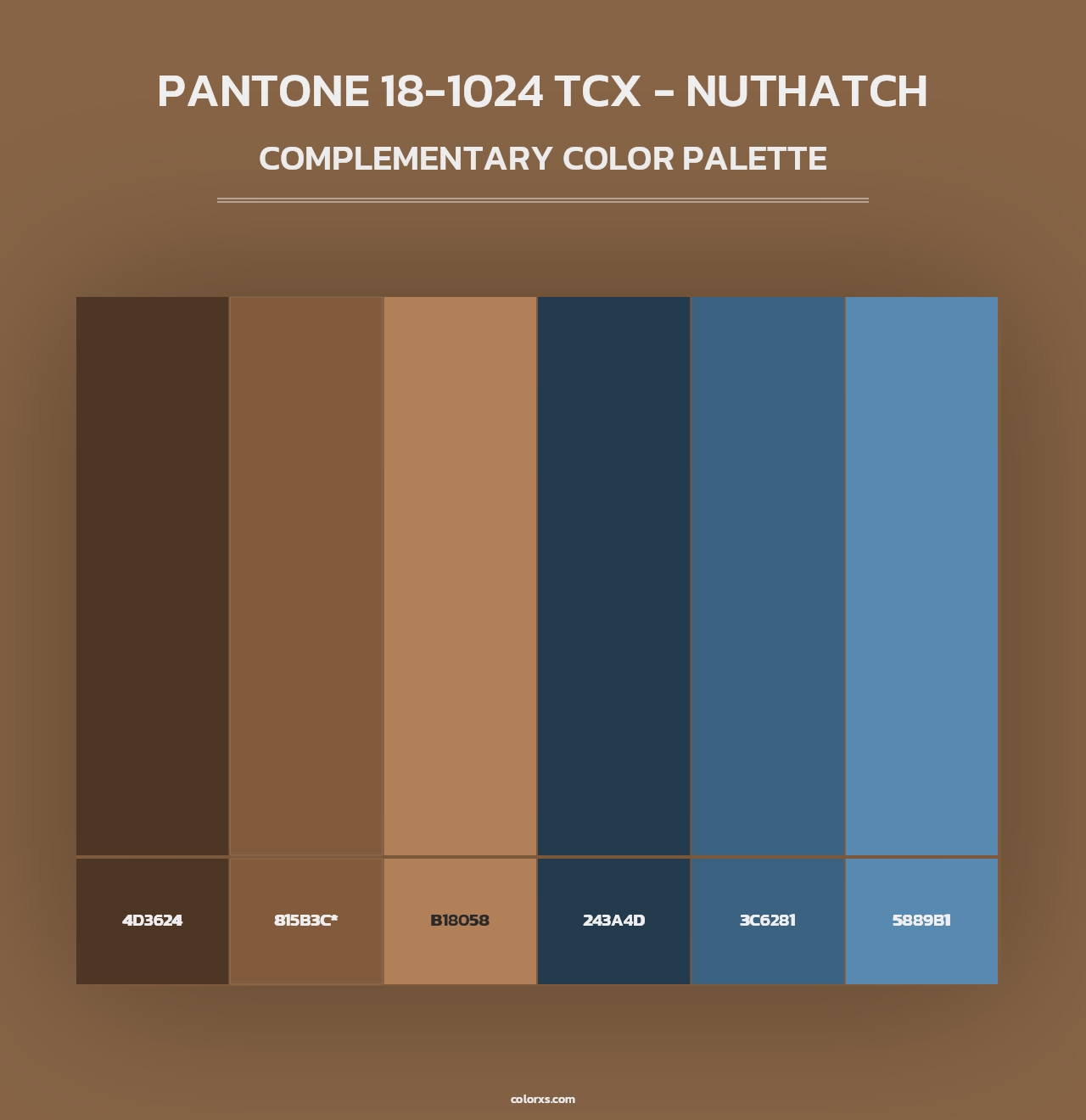 PANTONE 18-1024 TCX - Nuthatch - Complementary Color Palette