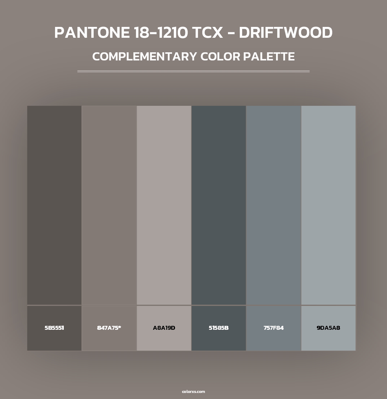 PANTONE 18-1210 TCX - Driftwood - Complementary Color Palette