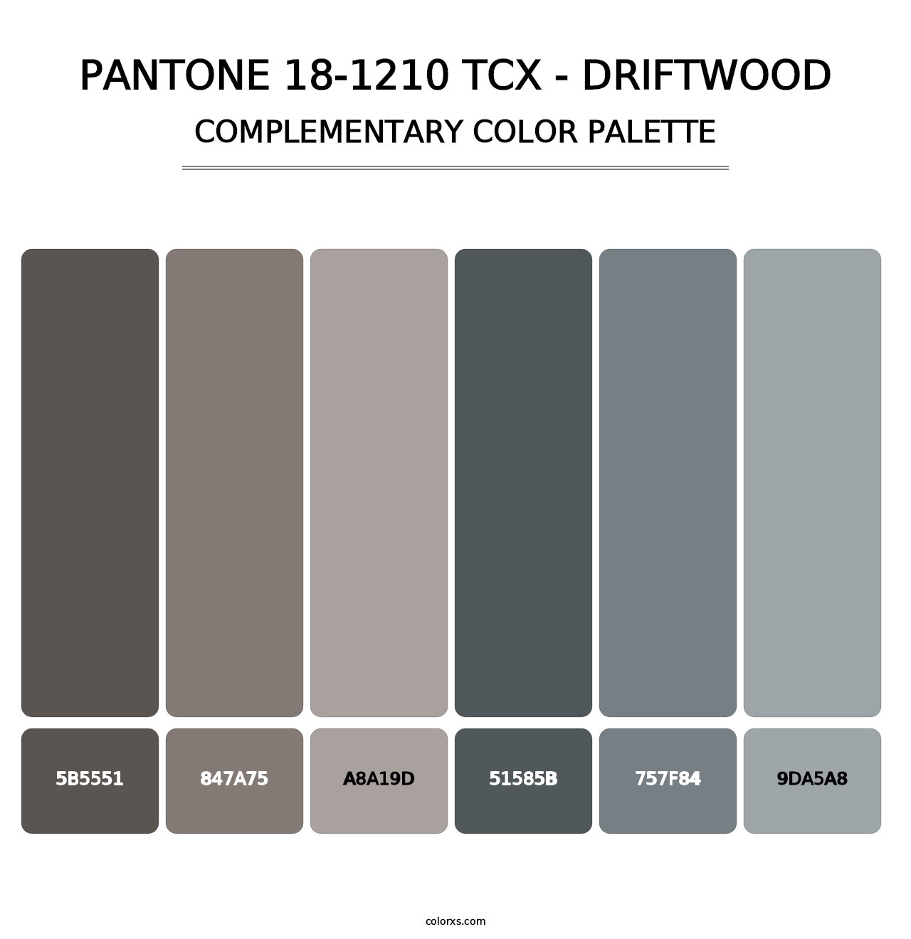 PANTONE 18-1210 TCX - Driftwood - Complementary Color Palette