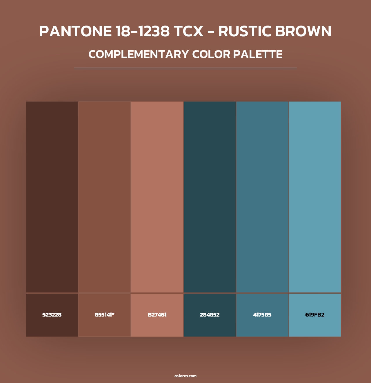PANTONE 18-1238 TCX - Rustic Brown - Complementary Color Palette