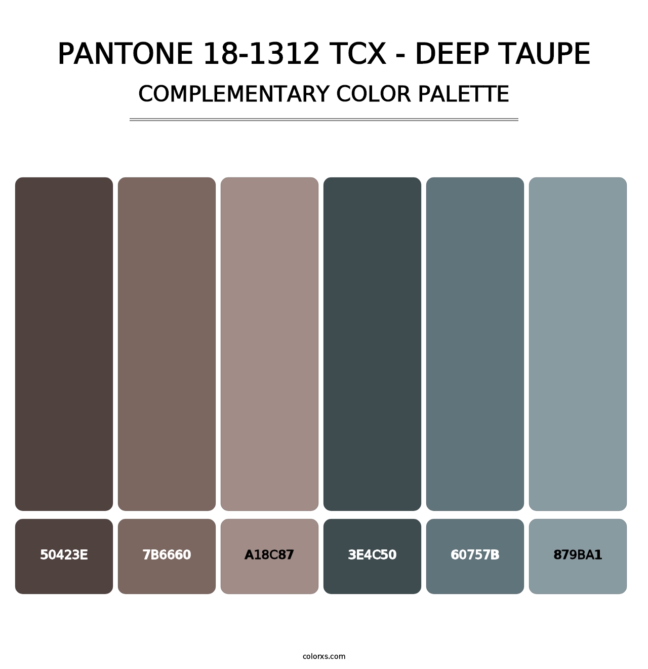 PANTONE 18-1312 TCX - Deep Taupe - Complementary Color Palette