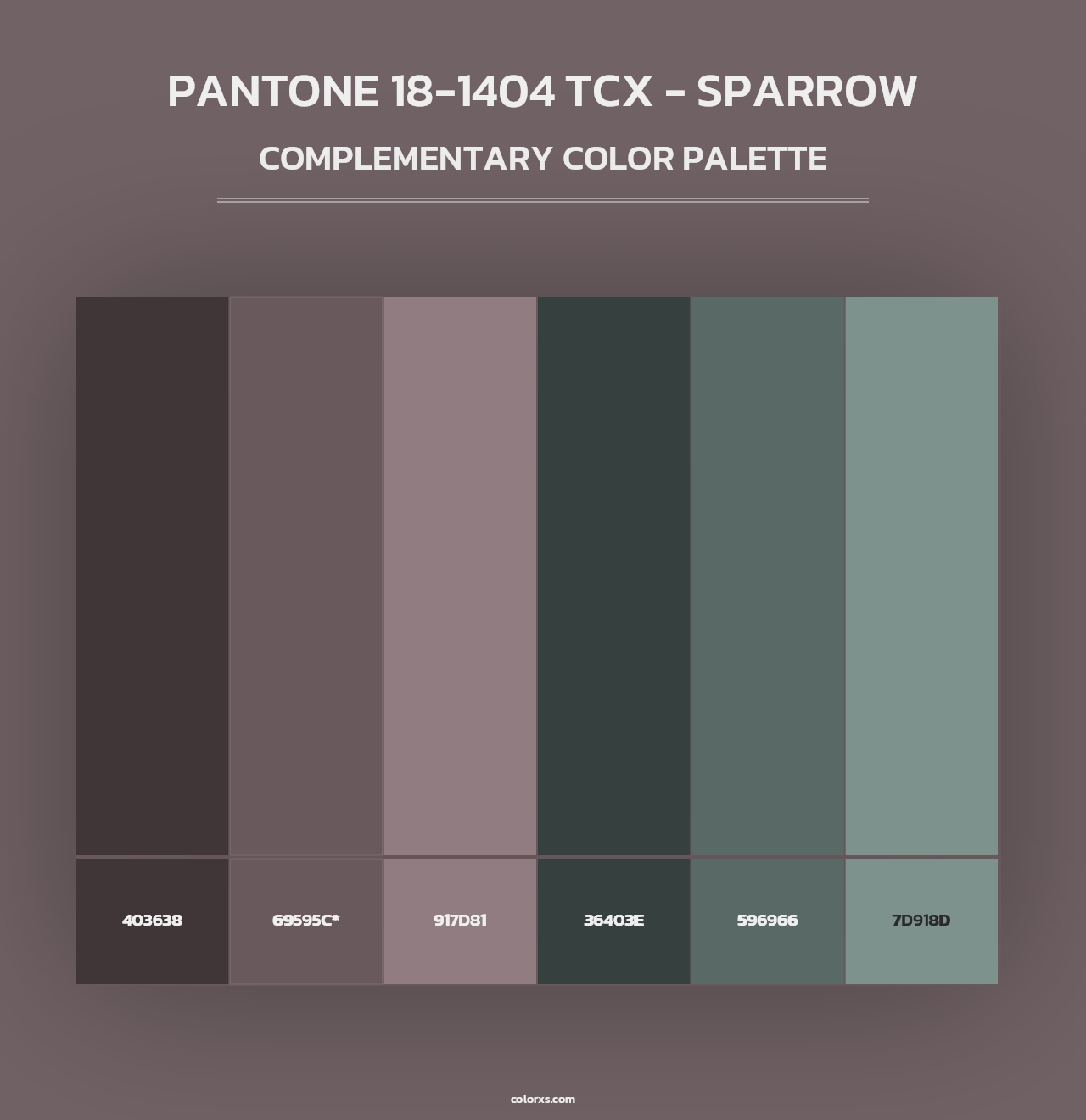 PANTONE 18-1404 TCX - Sparrow - Complementary Color Palette