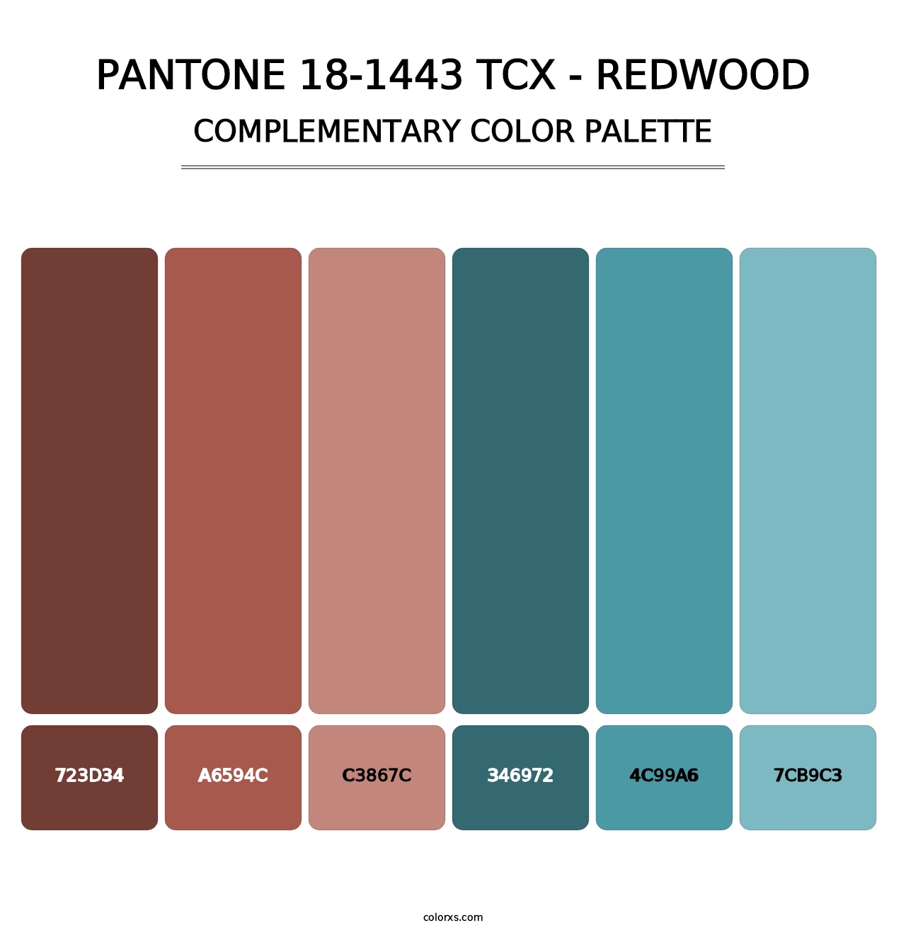 PANTONE 18-1443 TCX - Redwood - Complementary Color Palette
