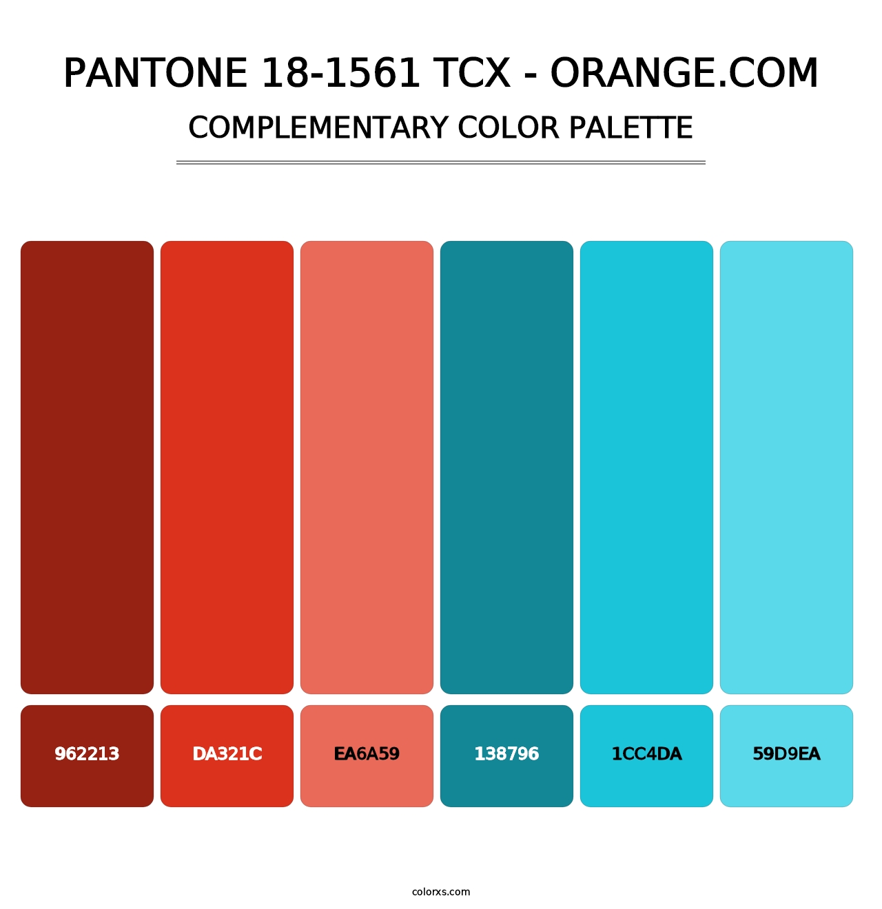 PANTONE 18-1561 TCX - Orange.com - Complementary Color Palette