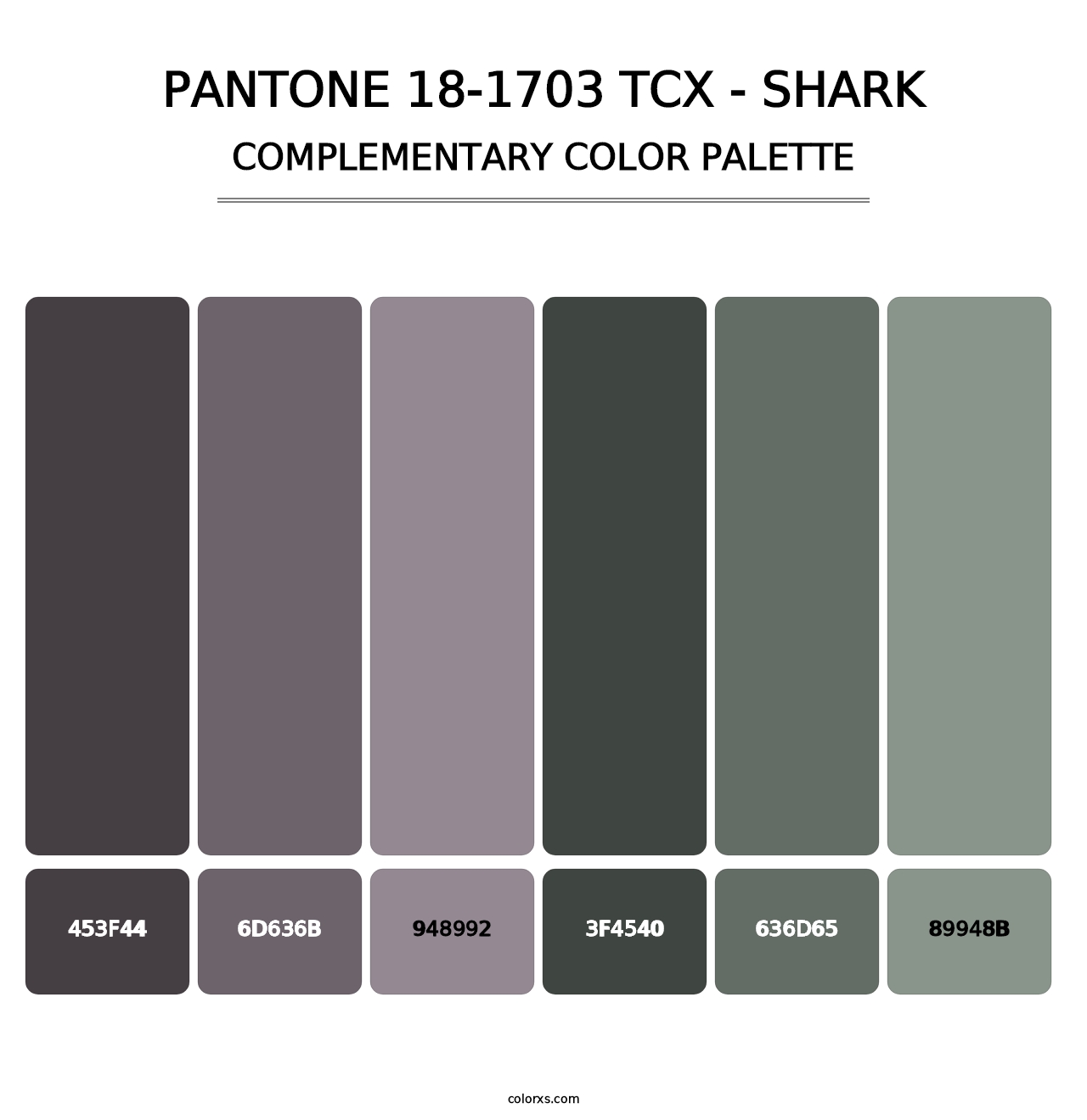 PANTONE 18-1703 TCX - Shark - Complementary Color Palette