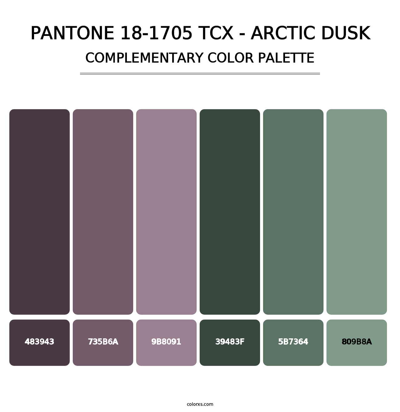PANTONE 18-1705 TCX - Arctic Dusk - Complementary Color Palette