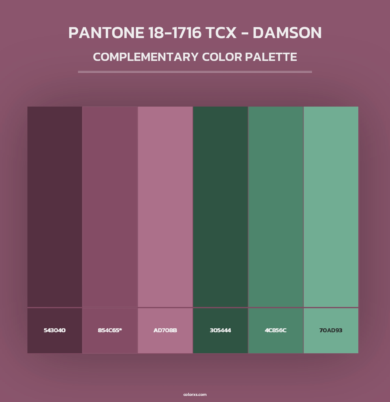 PANTONE 18-1716 TCX - Damson - Complementary Color Palette