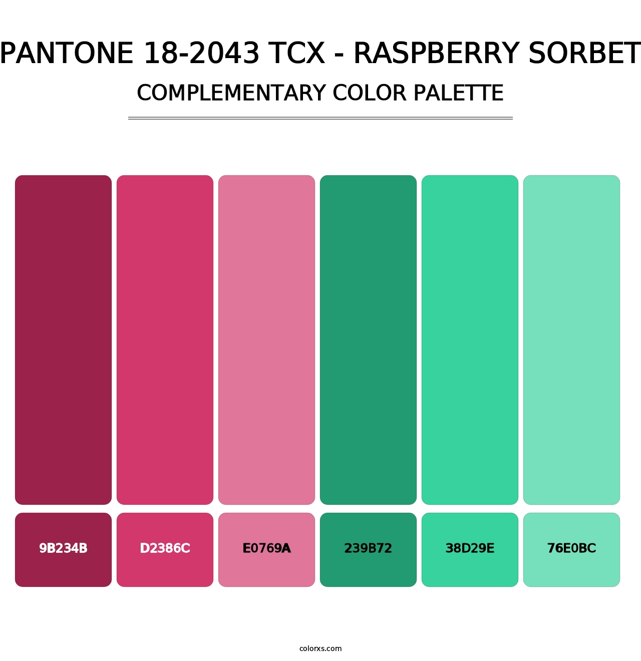 PANTONE 18-2043 TCX - Raspberry Sorbet - Complementary Color Palette
