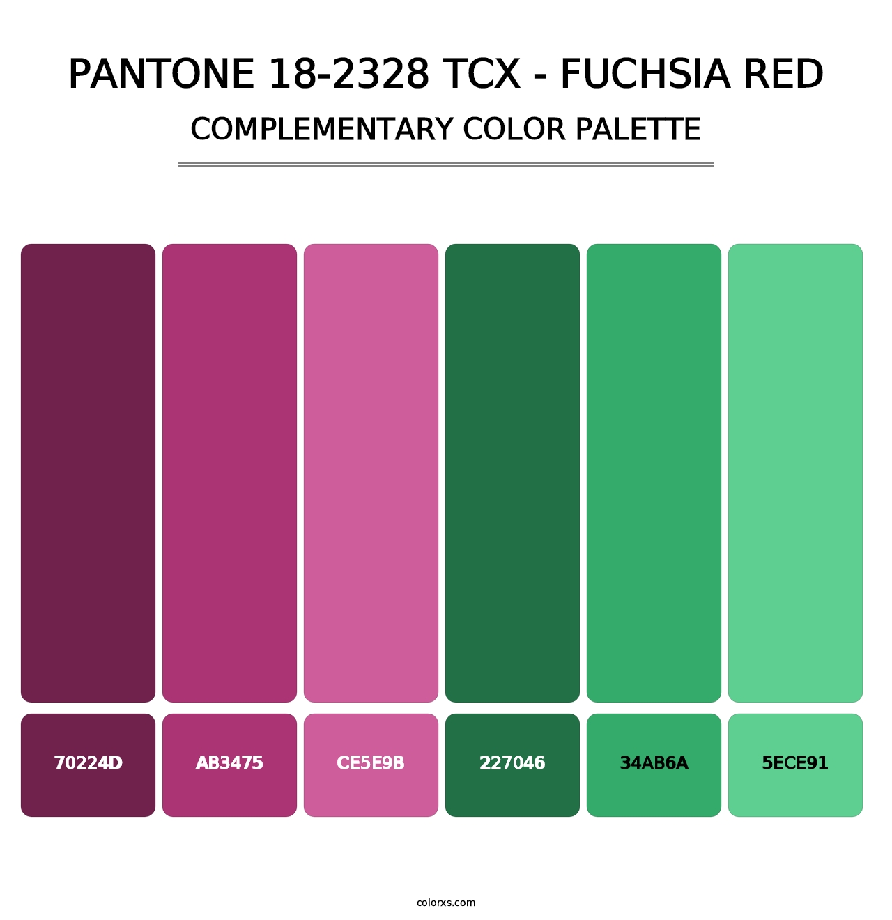 PANTONE 18-2328 TCX - Fuchsia Red - Complementary Color Palette