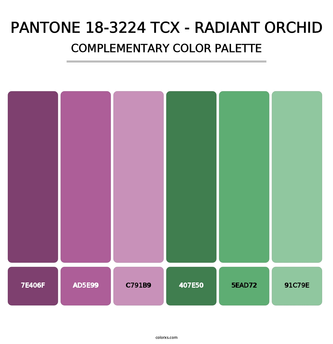 PANTONE 18-3224 TCX - Radiant Orchid - Complementary Color Palette
