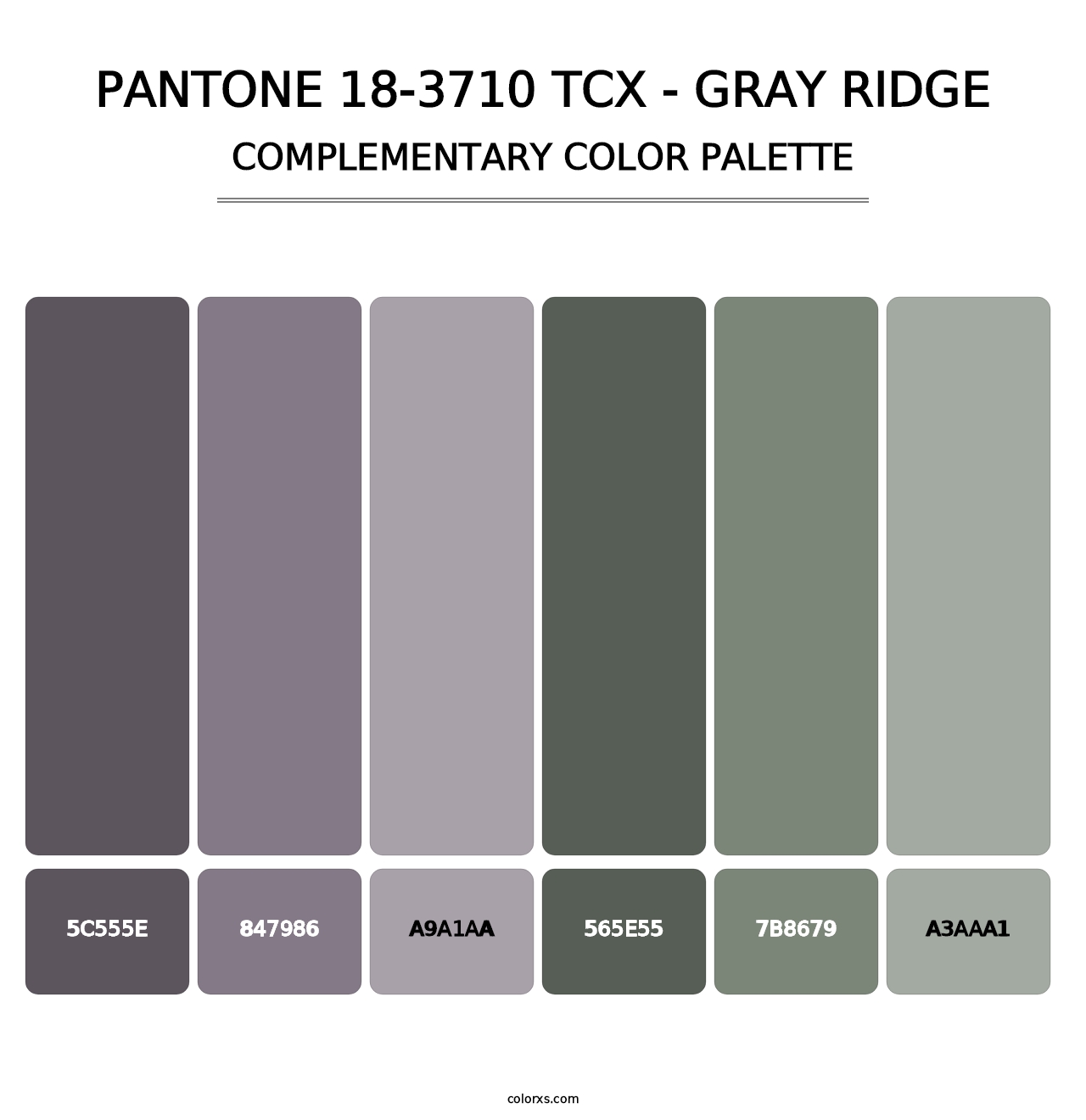PANTONE 18-3710 TCX - Gray Ridge - Complementary Color Palette