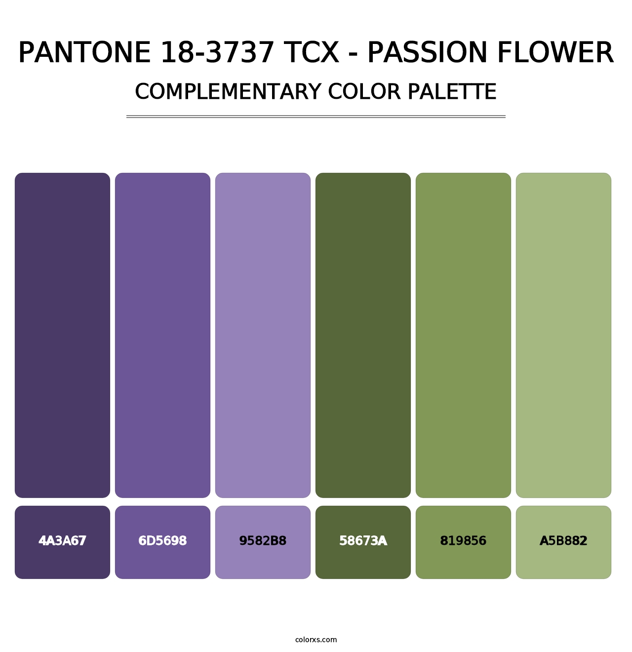 PANTONE 18-3737 TCX - Passion Flower - Complementary Color Palette