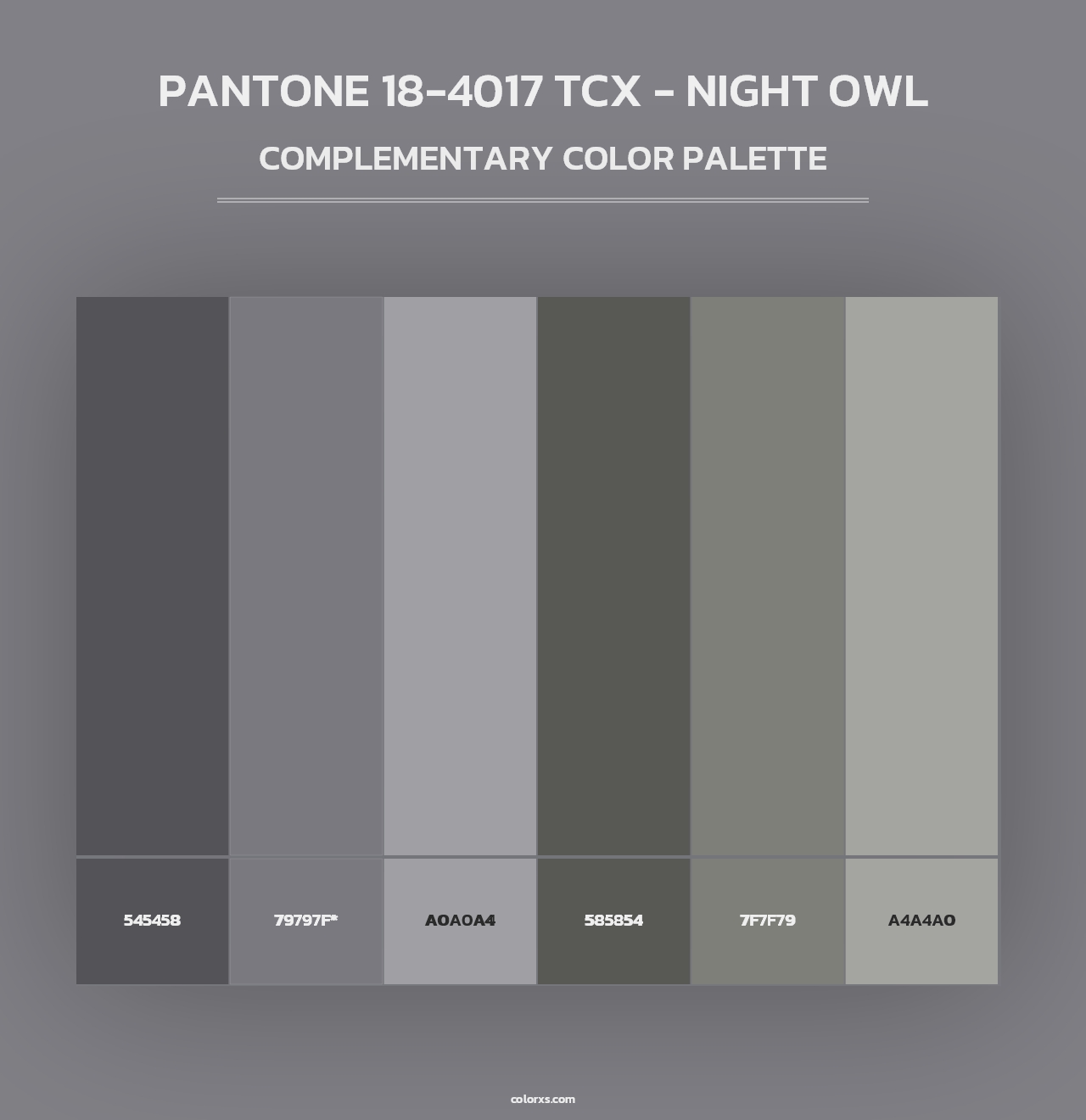 PANTONE 18-4017 TCX - Night Owl - Complementary Color Palette