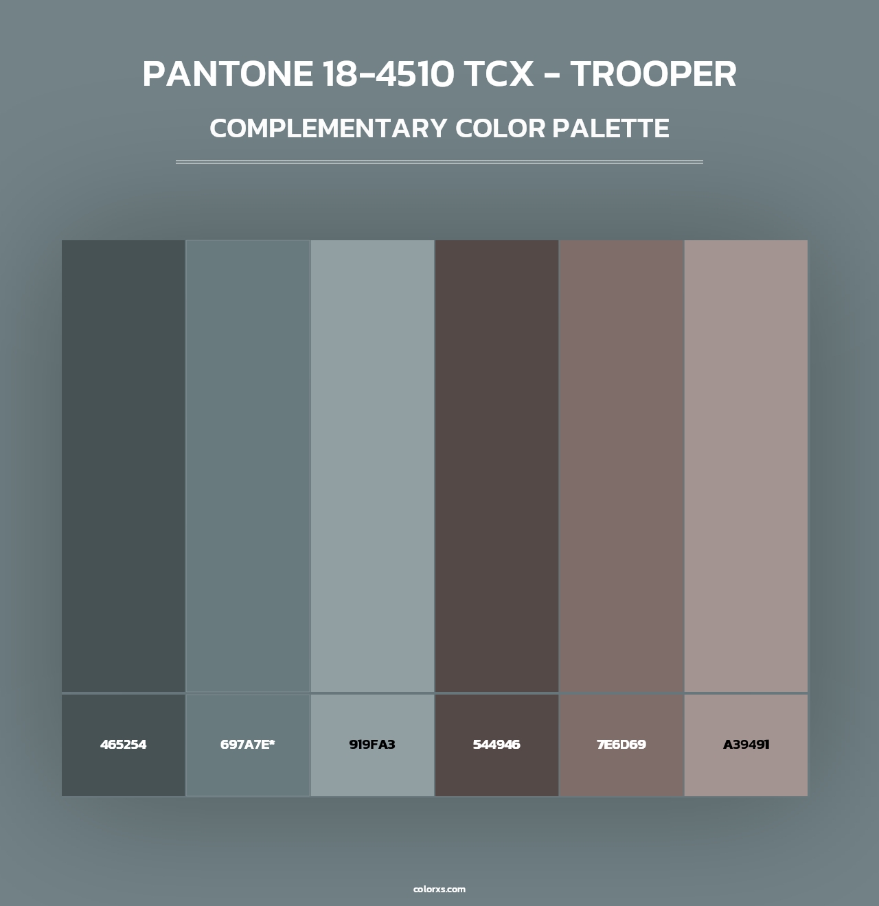 PANTONE 18-4510 TCX - Trooper - Complementary Color Palette
