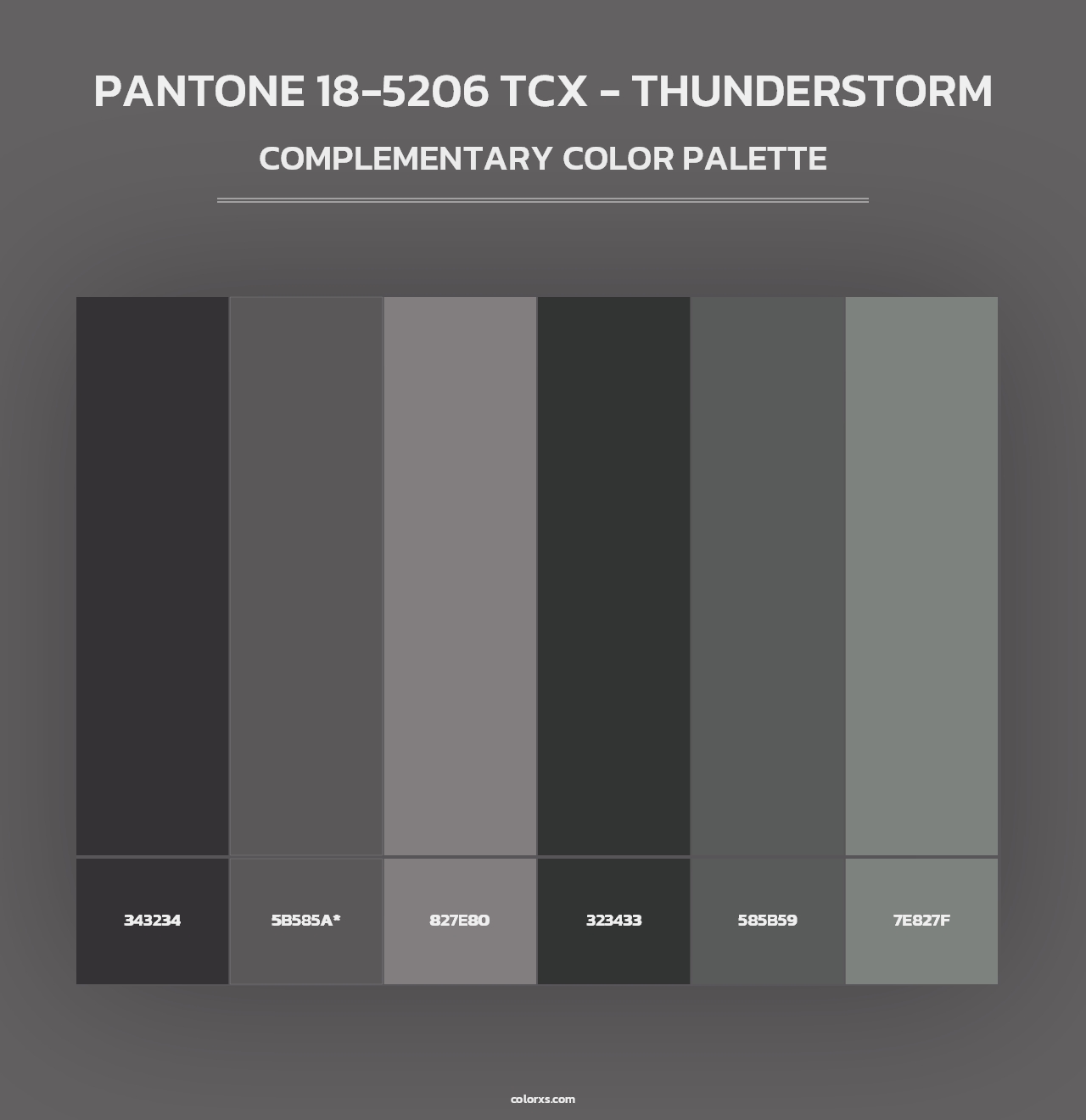 PANTONE 18-5206 TCX - Thunderstorm - Complementary Color Palette