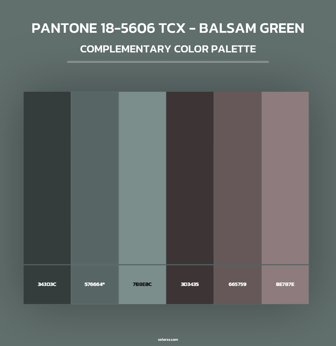 PANTONE 18-5606 TCX - Balsam Green - Complementary Color Palette