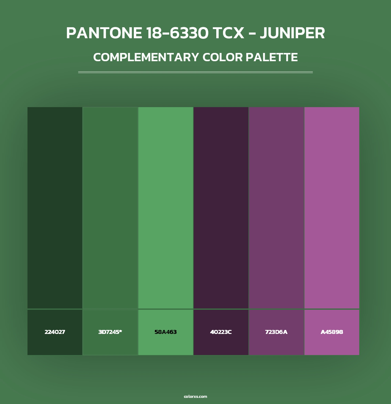 PANTONE 18-6330 TCX - Juniper - Complementary Color Palette