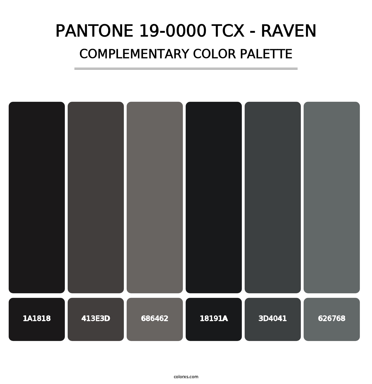 PANTONE 19-0000 TCX - Raven - Complementary Color Palette