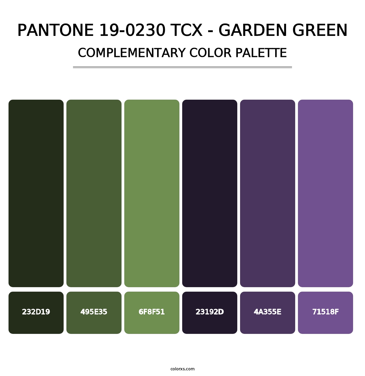 PANTONE 19-0230 TCX - Garden Green - Complementary Color Palette