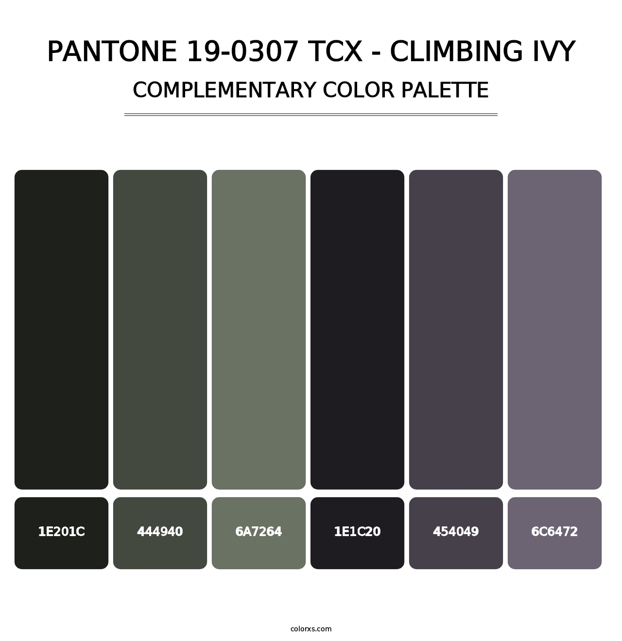 PANTONE 19-0307 TCX - Climbing Ivy - Complementary Color Palette