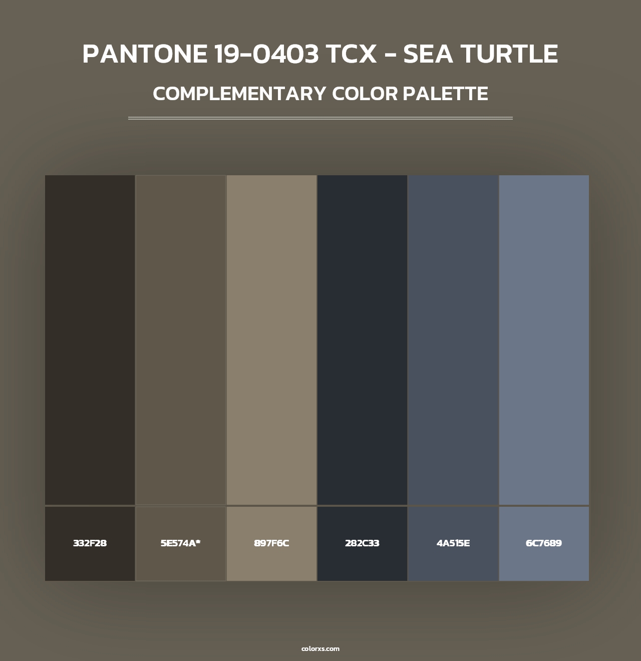 PANTONE 19-0403 TCX - Sea Turtle - Complementary Color Palette