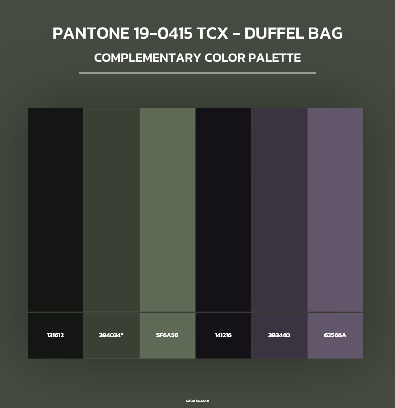 PANTONE 19-0415 TCX - Duffel Bag - Complementary Color Palette