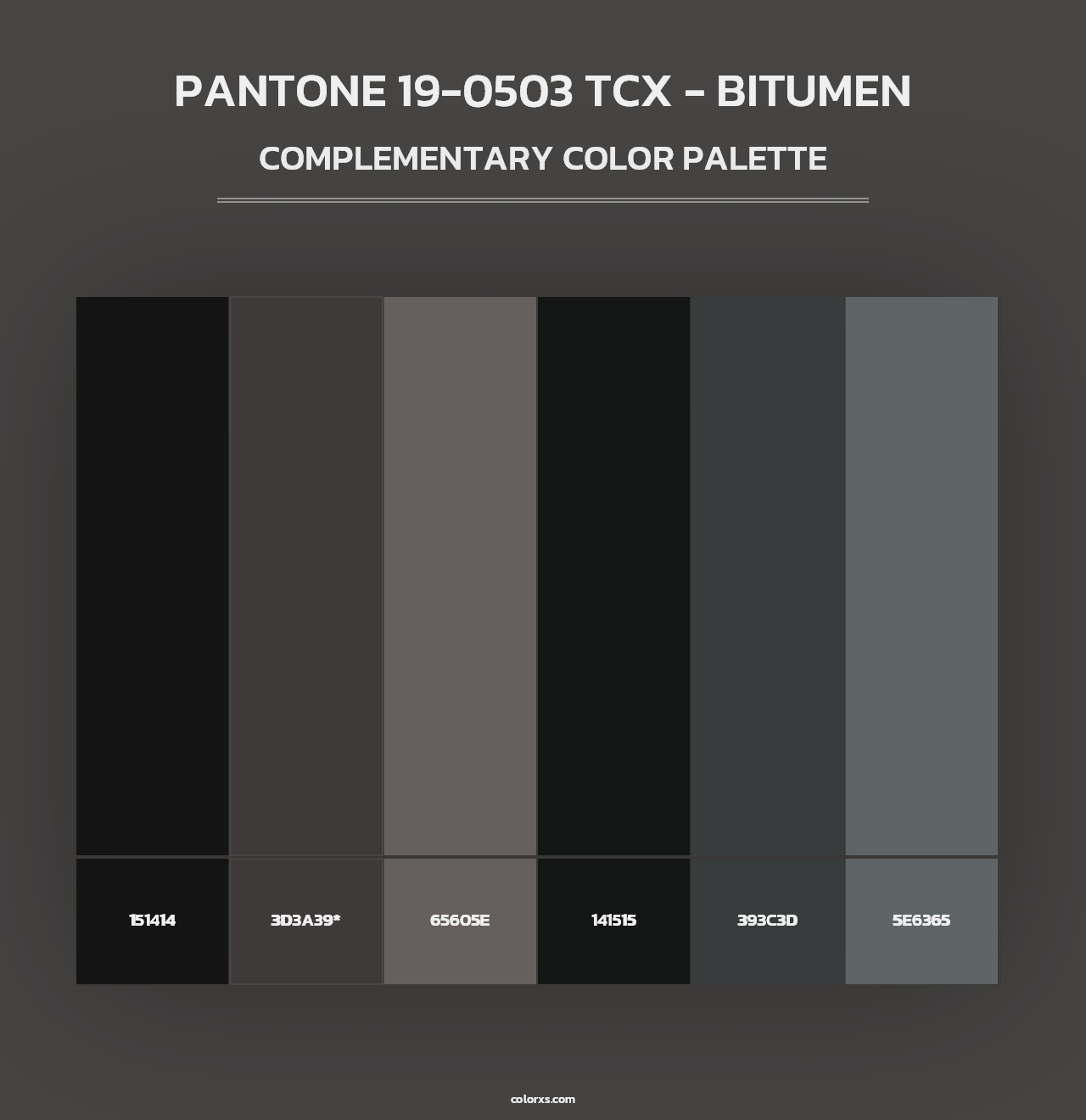 PANTONE 19-0503 TCX - Bitumen - Complementary Color Palette
