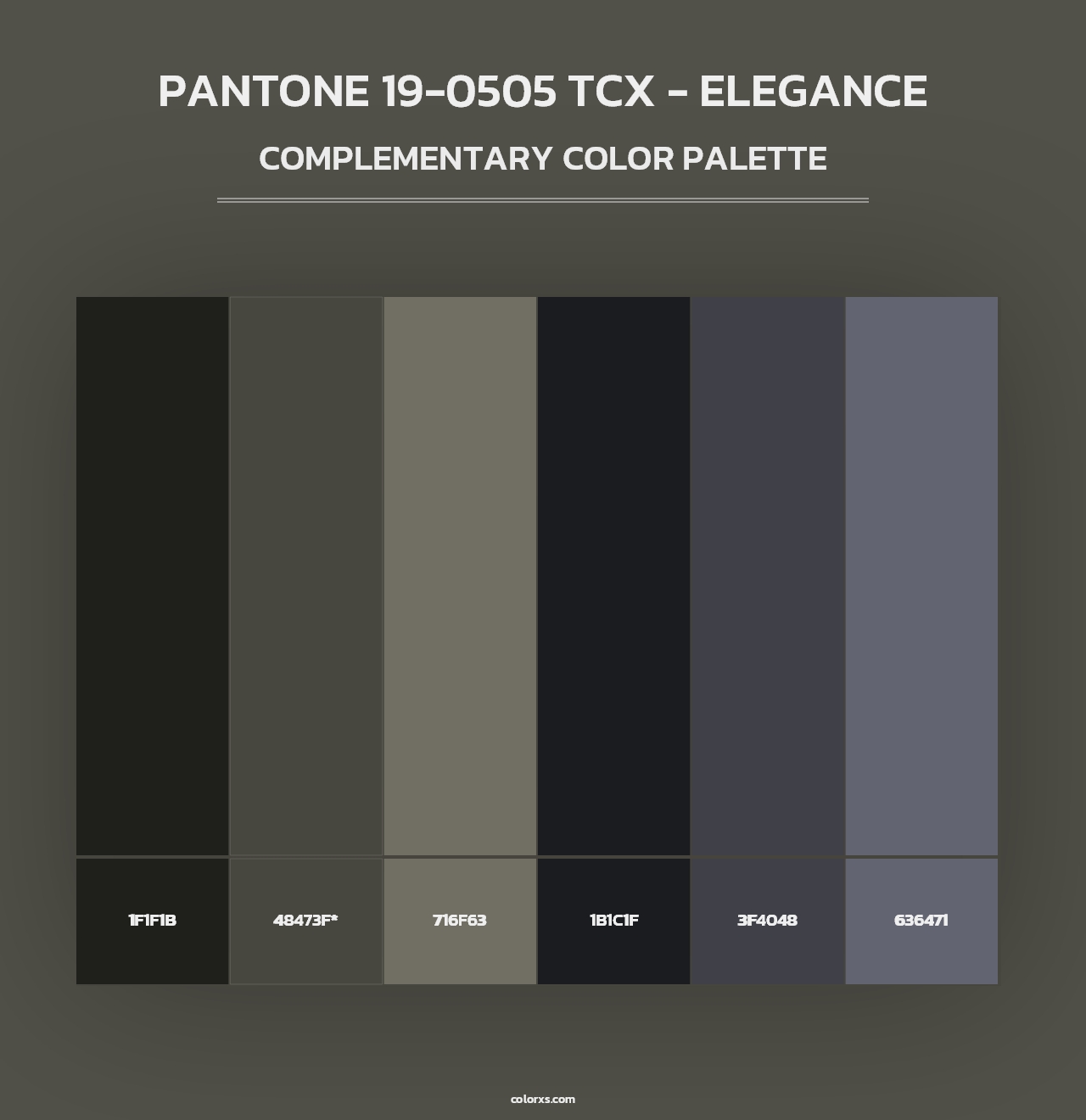 PANTONE 19-0505 TCX - Elegance - Complementary Color Palette
