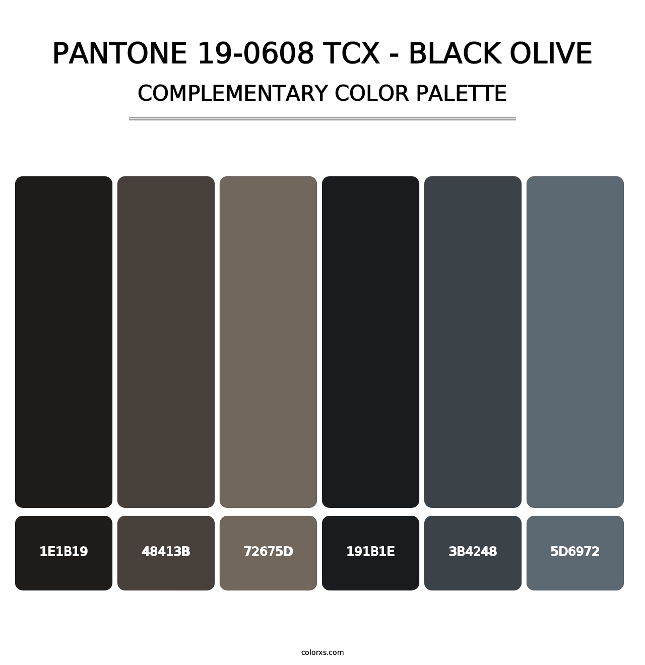 PANTONE 19-0608 TCX - Black Olive - Complementary Color Palette